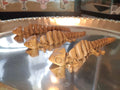 3D Printed Brown Chameleons